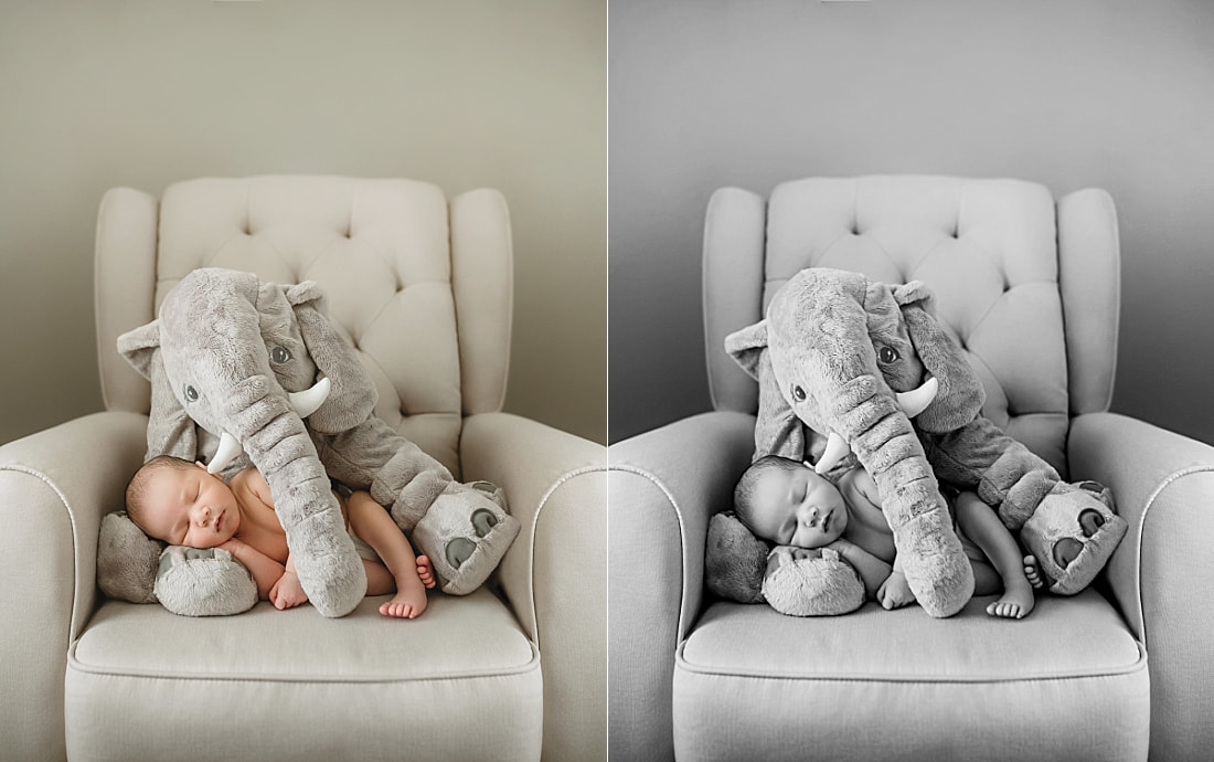 adorable baby boy sleeping with giant stuffed elephant during newborn photo session in memphis, tn