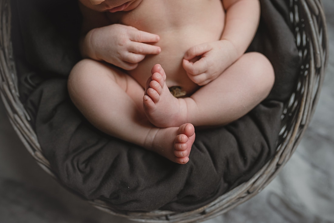 newborn baby toes during memphis newborn photo shoot