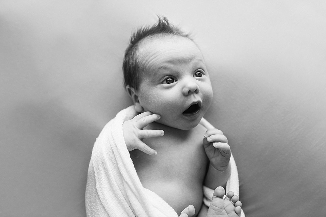black and white portrait of newborn baby boy with a mohawk during his collierville newborn photo session