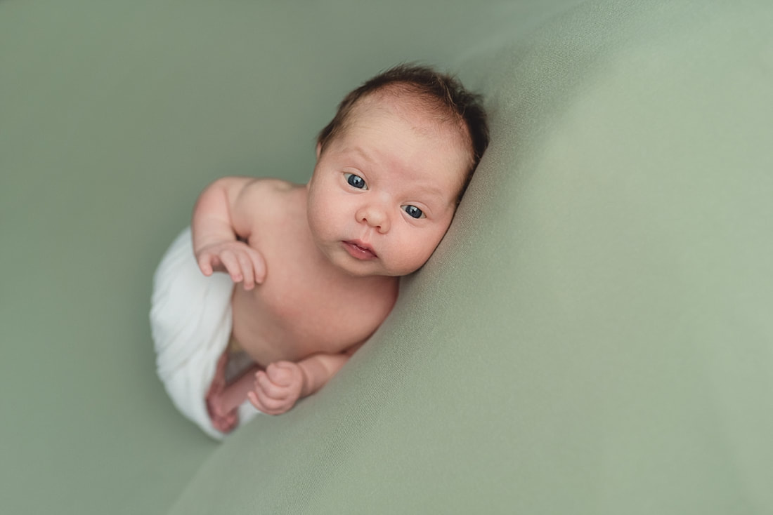Newborn Photos by Sarah Morris Photography in Collierville, TN