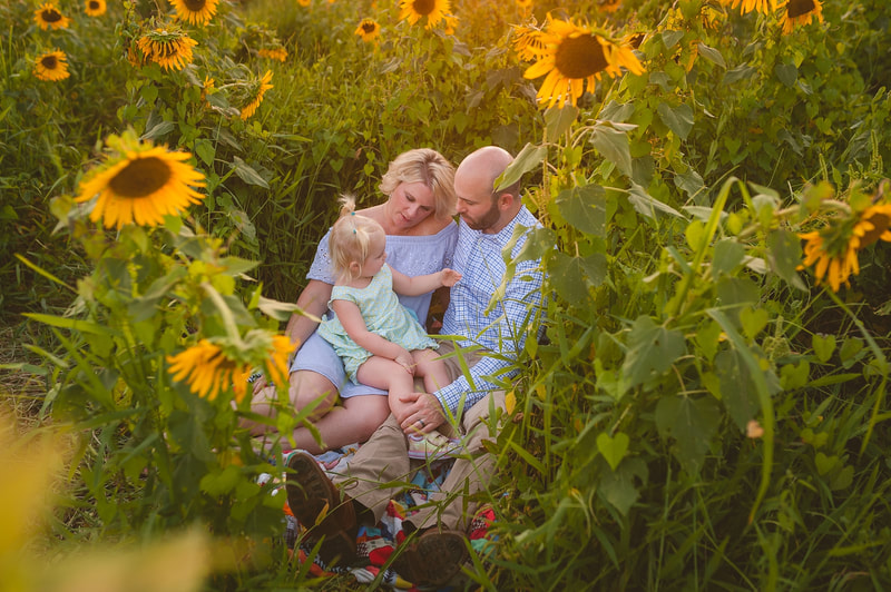 family portrait in the sunflower field in memphis, tn