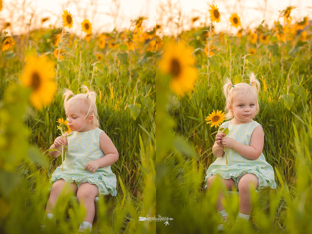family photos in sunflower field at the agricenter, memphis, tn