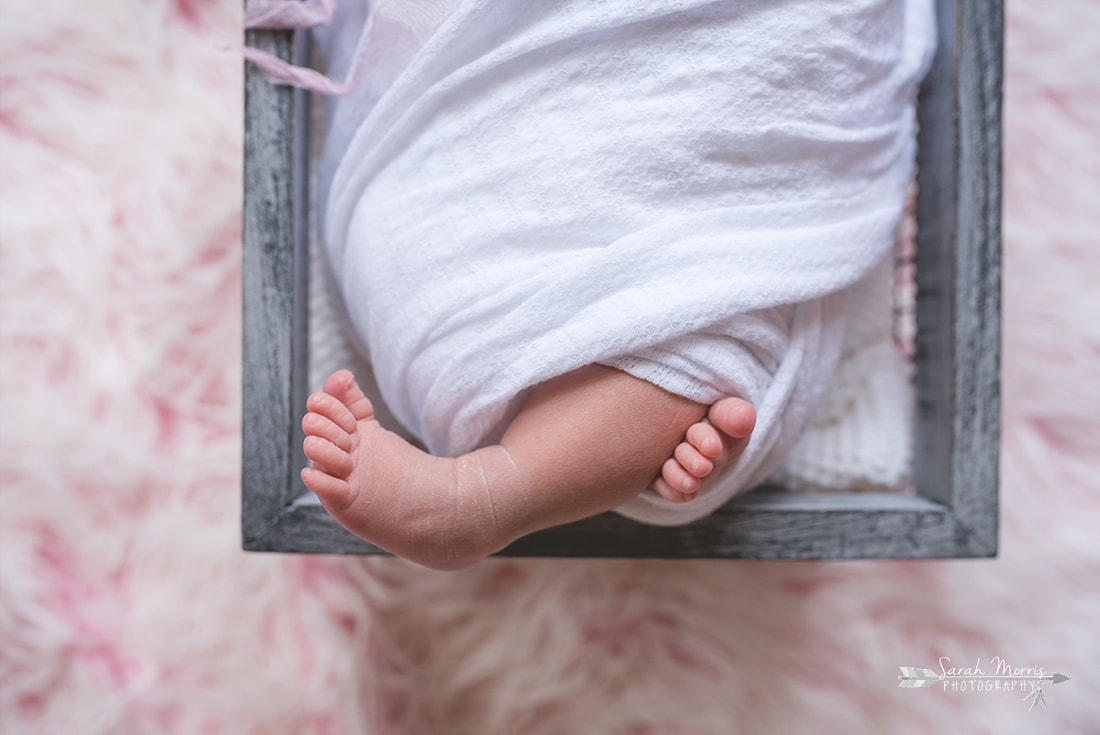 Close up of baby toes during the posed portion of her newborn session
