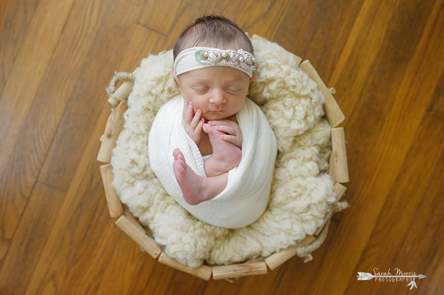 Newborn Photography | Newborn photo of baby girl posed in a basket at her Newborn Photo Session in Memphis, TN