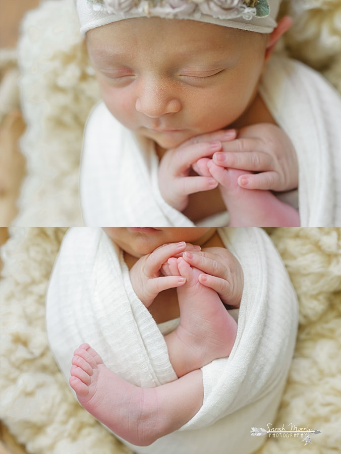 Newborn Photography | Newborn photo of baby girl posed in a basket at her Newborn Photo Session in Memphis, TN