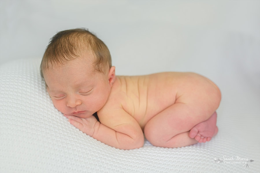 PictureNewborn Photography | Newborn Baby girl posed on white blanket at Newborn Photo Session in Memphis, TN
