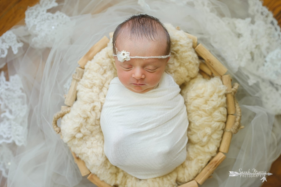 Newborn Photography | Newborn photo of baby girl posed in a basket with mom's wedding veil at her Newborn Photo Session in Memphis, TN