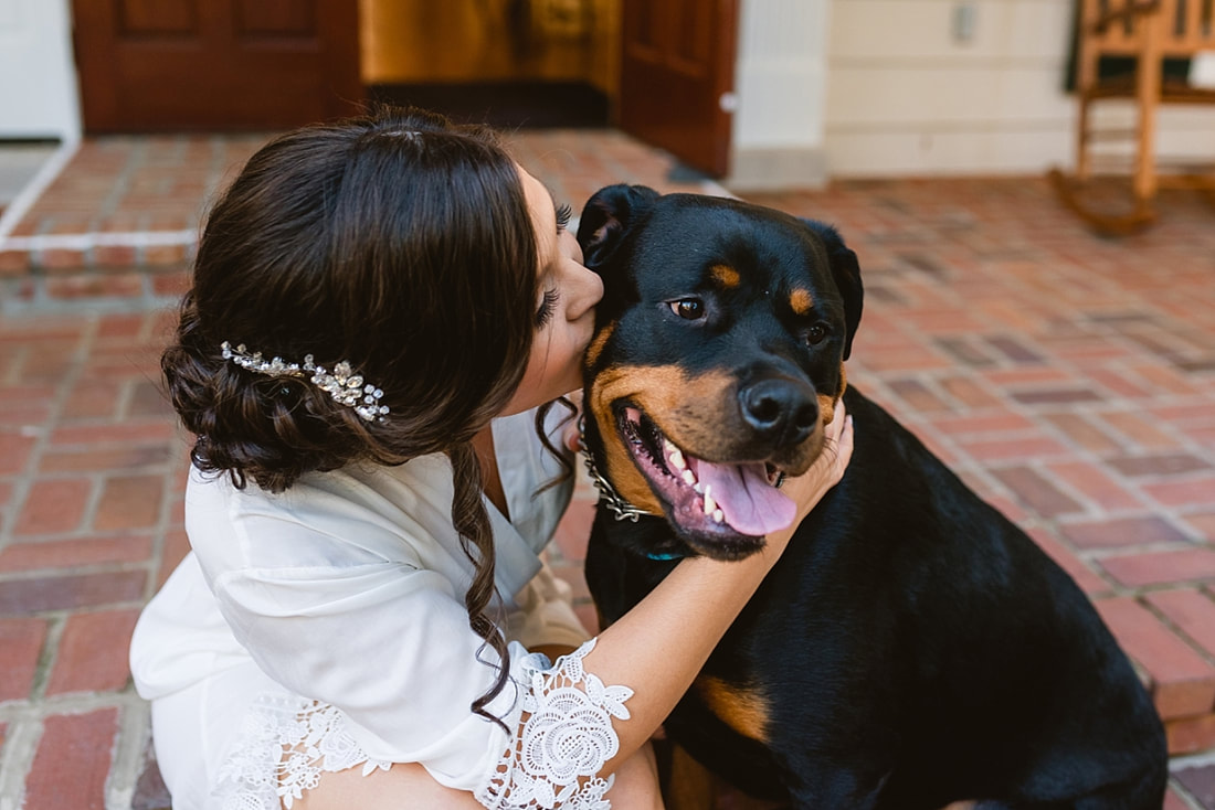 bride kissing her dog at Orion Hill in Arlington, TN