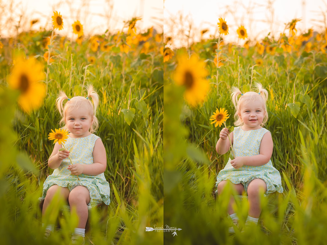 family photos in sunflower field at the agricenter, memphis, tn