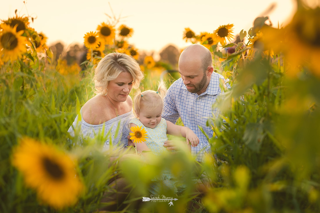 family photos in sunflower field at the agricenter, memphis, tn