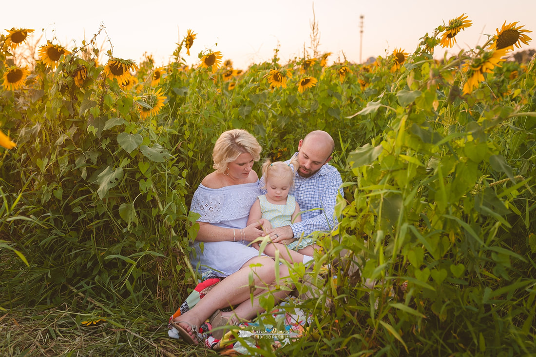 family photos in sunflower field at the agricenter, memphis, tn