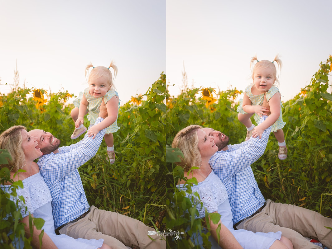 family photos in sunflower field at the agricenter, memphis, tn