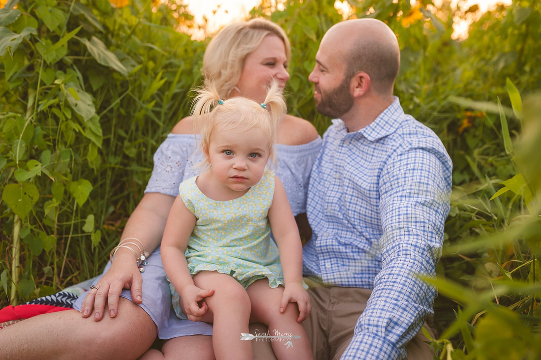 family photos in sunflower field at the agricenter, memphis, tn