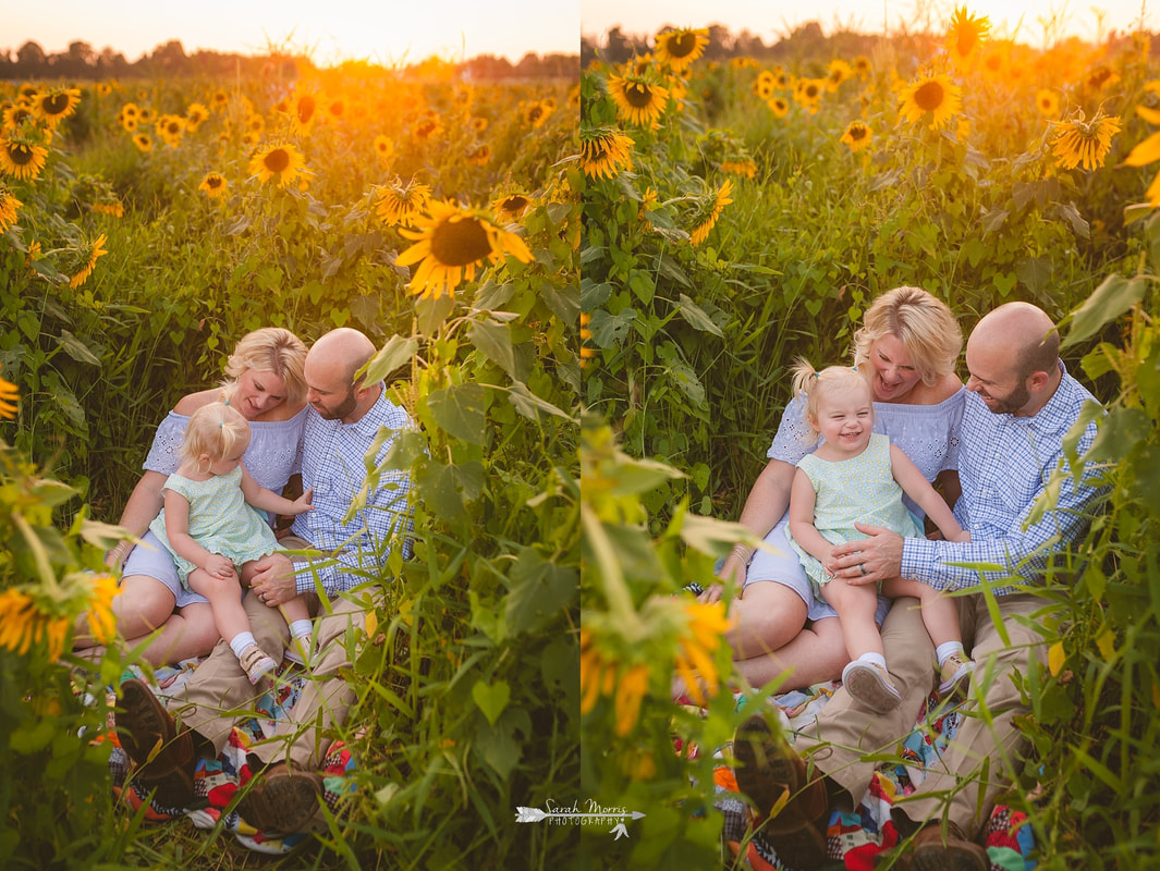 family photos in sunflower field at the agricenter, memphis, tn