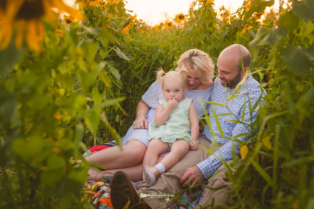 family photos in sunflower field at the agricenter, memphis, tn