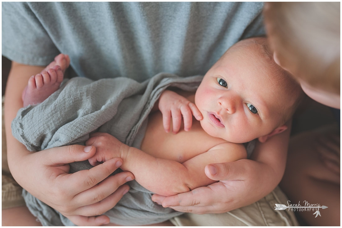 Newborn photos with older siblings