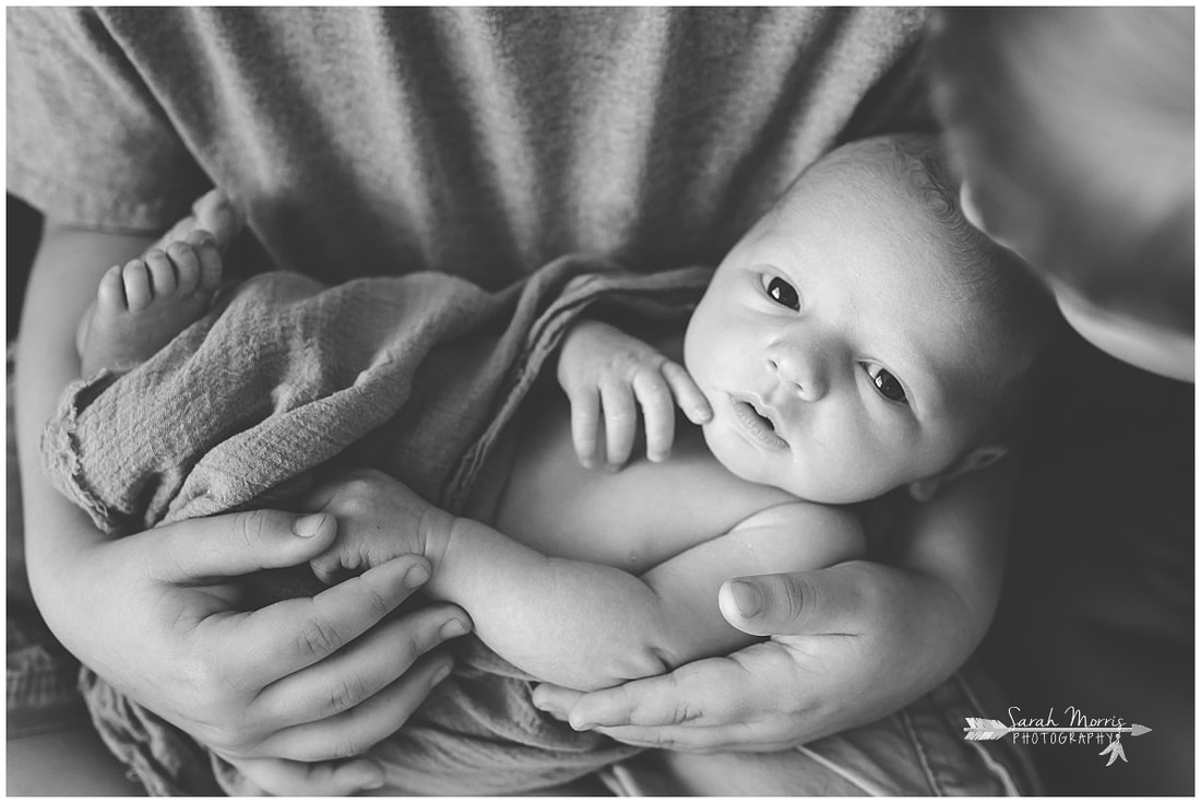 Newborn photos with older siblings