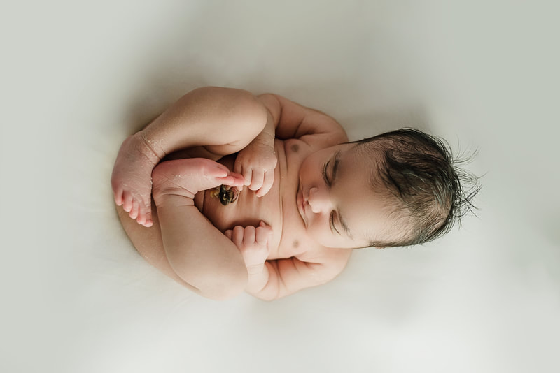 newborn baby girl posed for newborn session in Memphis, TN