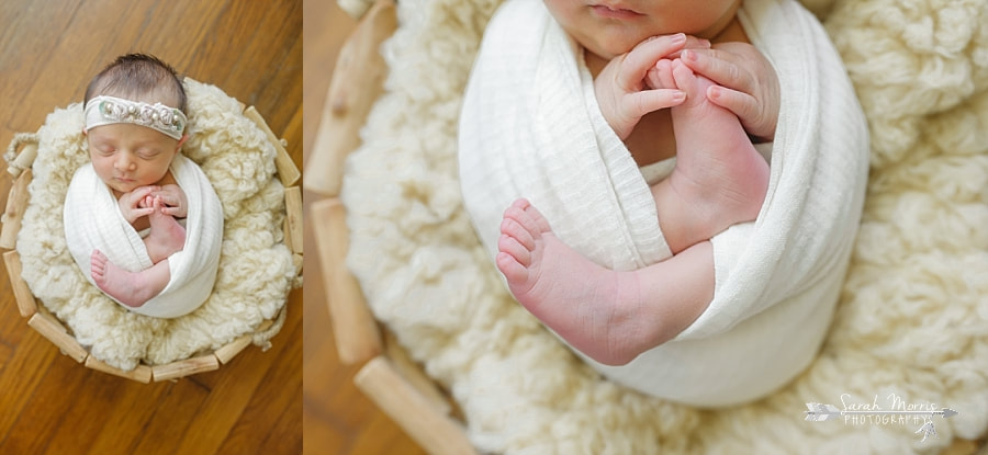 Newborn Photography | Newborn photo of baby girl posed in a basket at her Newborn Photo Session in Memphis, TN